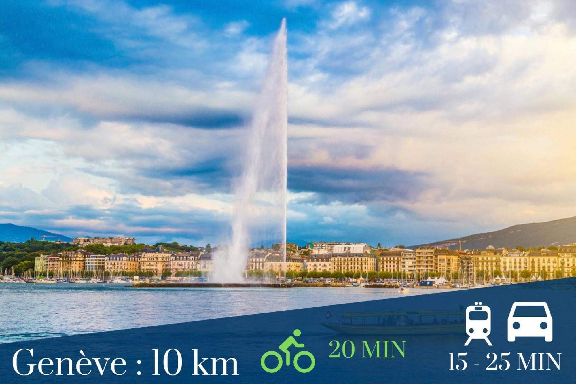 Homey Superchill - Appartement Moderne Et Tout Equipe - Netflix Et Wifi Inclus - Situe En Hyper-Centre - Proche Geneve Annemasse Zewnętrze zdjęcie